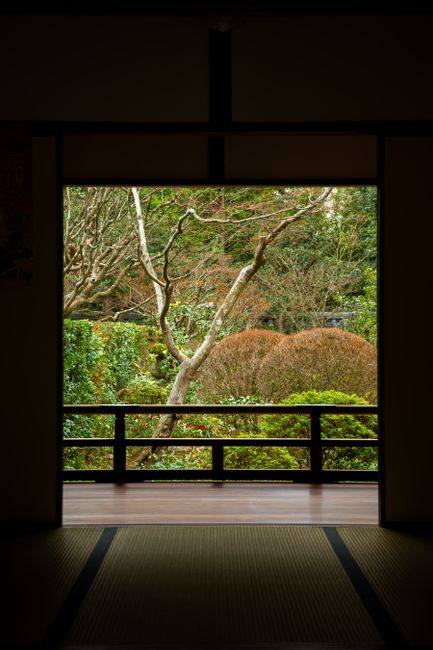 窓からの眺め